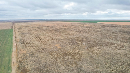 Farming, Ranching and Conservation Tracts for Sale in NM and TX - image 4