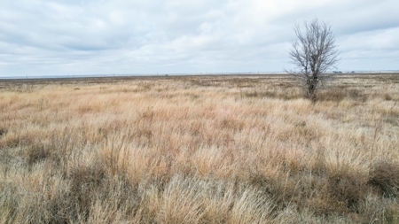 Farming, Ranching and Conservation Tracts for Sale in NM and TX - image 7