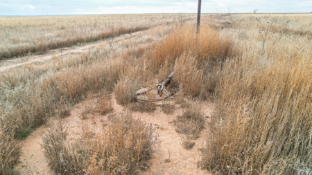 Farming, Ranching and Conservation Tracts for Sale in NM and TX - image 8