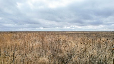 Farming, Ranching and Conservation Tracts for Sale in NM and TX - image 2