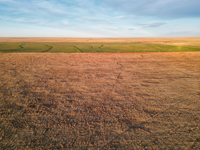 Farming, Ranching and Conservation Tracts for Sale in NM and TX - image 49