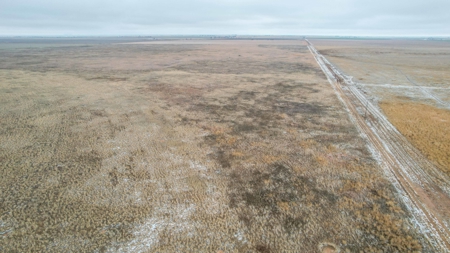 Farming, Ranching and Conservation Tracts for Sale in NM and TX - image 16