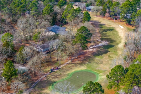 Lakefront and Golf Course Home in Gated Holly Lake Ranch in Texas - image 43
