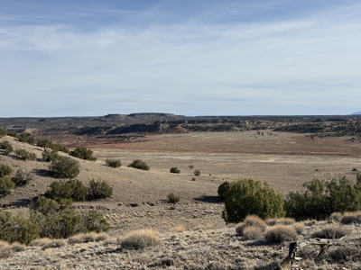 Eastern Arizona Off-grid Land for Sale Near St. Johns - image 1
