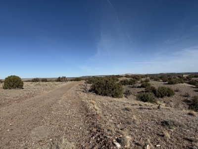 Eastern Arizona Off-grid Land for Sale Near St. Johns - image 6
