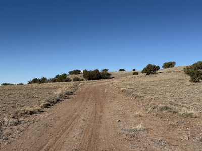 Eastern Arizona Off-grid Land for Sale Near St. Johns - image 5