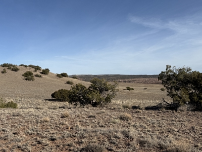 Eastern Arizona Off-grid Land for Sale Near St. Johns - image 2
