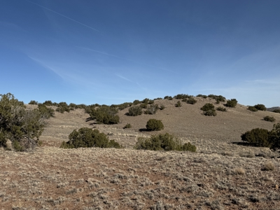 Eastern Arizona Off-grid Land for Sale Near St. Johns - image 3