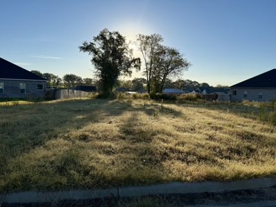 Residential Lot for sale 252 Co Rd 758, Enterprise, AL - image 4