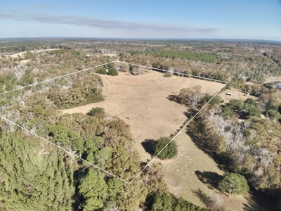 Secluded Country Home North Florida - 32acres - image 20