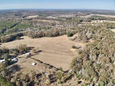 Secluded Country Home North Florida - 32acres - image 19