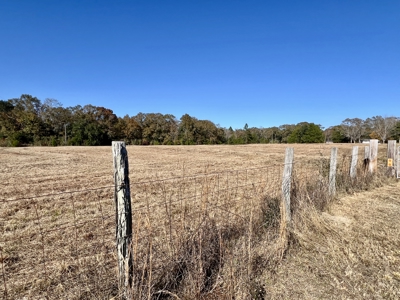 Secluded Country Home North Florida - 32acres - image 3