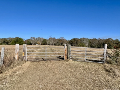 Secluded Country Home North Florida - 32acres - image 22