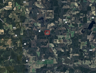 Secluded Country Home North Florida - 32acres - image 48