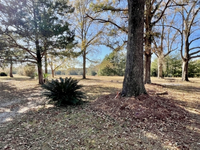 Secluded Country Home North Florida - 32acres - image 38