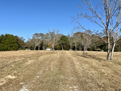 Secluded Country Home North Florida - 32acres - image 34