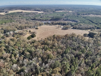 Secluded Country Home North Florida - 32acres - image 21