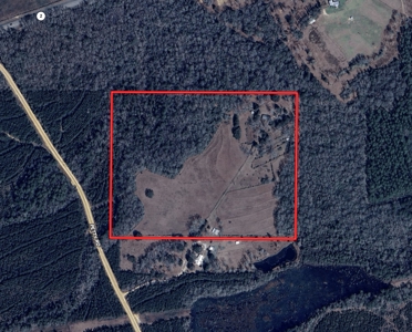 Secluded Country Home North Florida - 32acres - image 45