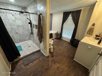 7035 Robertson Road Amite & Franklin County MS - image 23