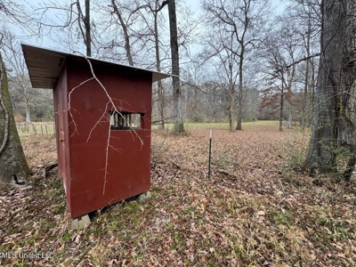 7035 Robertson Road Amite & Franklin County MS - image 35