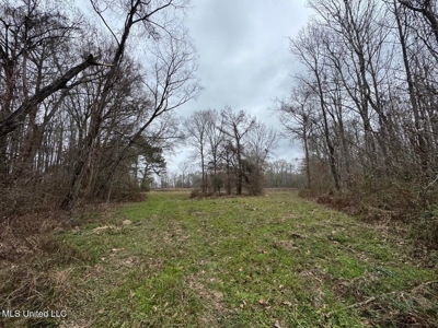 7035 Robertson Road Amite & Franklin County MS - image 41