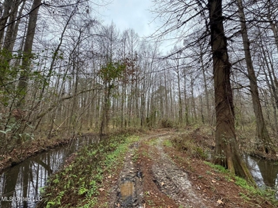 7035 Robertson Road Amite & Franklin County MS - image 40