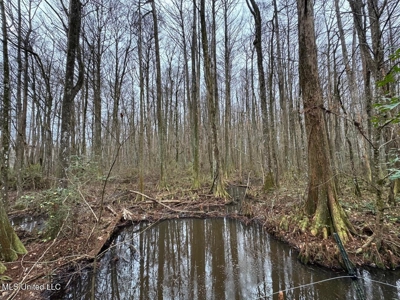 7035 Robertson Road Amite & Franklin County MS - image 38