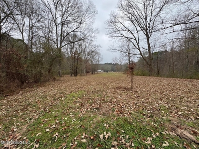 7035 Robertson Road Amite & Franklin County MS - image 36