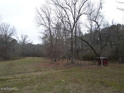 7035 Robertson Road Amite & Franklin County MS - image 4