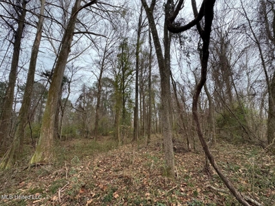 7035 Robertson Road Amite & Franklin County MS - image 44