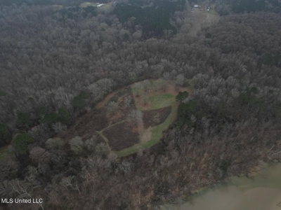 7035 Robertson Road Amite & Franklin County MS - image 7