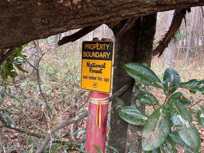 7035 Robertson Road Amite & Franklin County MS - image 47