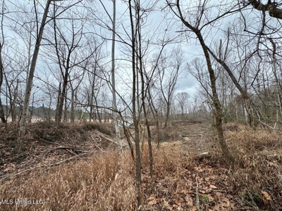 7035 Robertson Road Amite & Franklin County MS - image 45