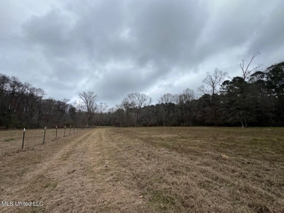 7035 Robertson Road Amite & Franklin County MS - image 34