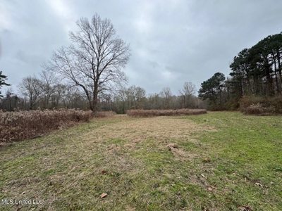 7035 Robertson Road Amite & Franklin County MS - image 43