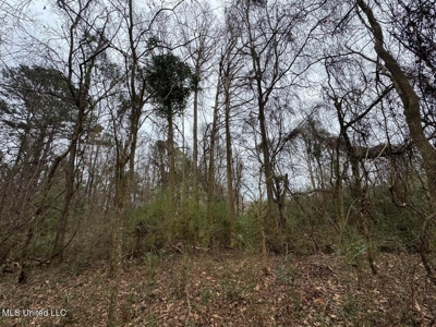 7035 Robertson Road Amite & Franklin County MS - image 46