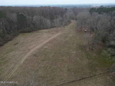 7035 Robertson Road Amite & Franklin County MS - image 3