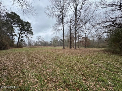7035 Robertson Road Amite & Franklin County MS - image 42