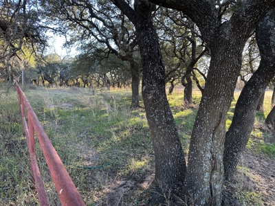 Country Home on Acreage with Horse Facilities in Rising Star TX - image 1