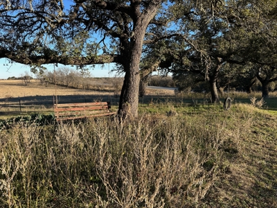 Country Home on Acreage with Horse Facilities in Rising Star TX - image 36