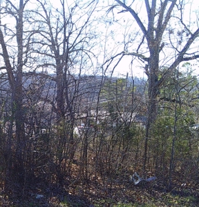 Subdivision Lot In Hardy Arkansas - image 4