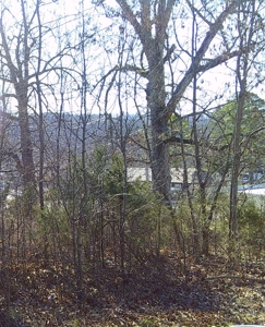 Subdivision Lot In Hardy Arkansas - image 6