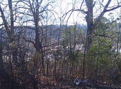 Subdivision Lot In Hardy Arkansas - image 5