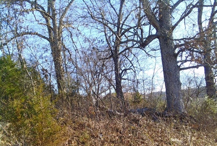 Subdivision Lot In Hardy Arkansas - image 7