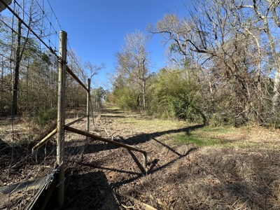 East Texas Hunting/Recreational High Fence Land For Sale - image 21