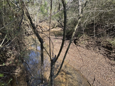 East Texas Hunting/Recreational High Fence Land For Sale - image 12