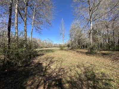 East Texas Hunting/Recreational High Fence Land For Sale - image 25
