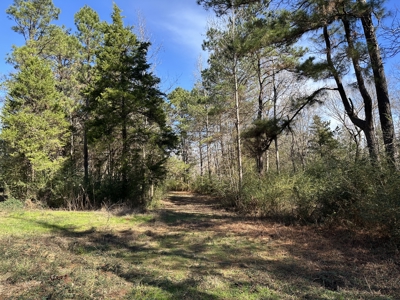 East Texas Hunting/Recreational High Fence Land For Sale - image 7