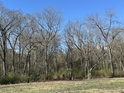 East Texas Hunting/Recreational High Fence Land For Sale - image 37