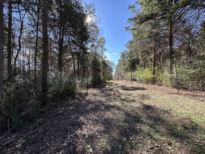East Texas Hunting/Recreational High Fence Land For Sale - image 6